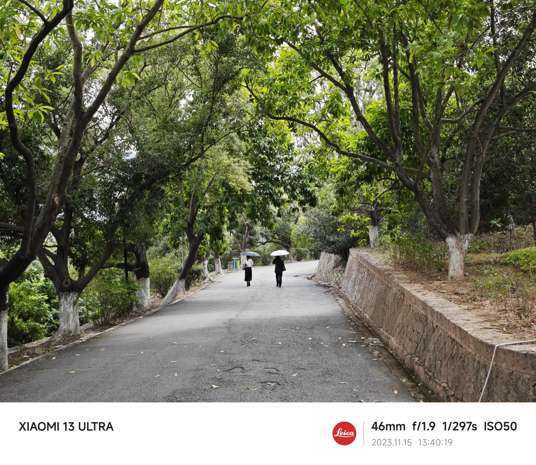 仰恩大学的绿化真好