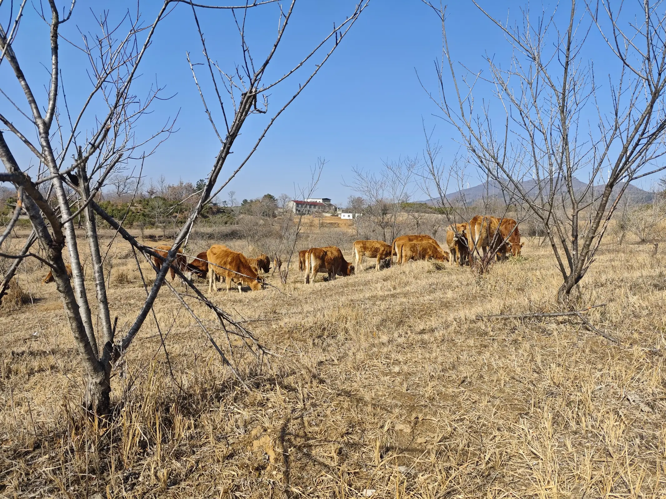 回顾一个月：离乡，求职，转正